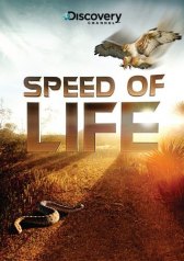 Discovery: Скорость жизни / Speed of Life Discovery: Скорость жизни