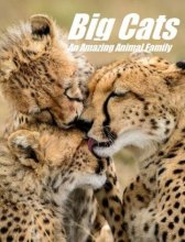 National Geographic. Большие кошки: Удивительная звериная семейка / Big Cats: An Amazing Animal Family National Geographic. Большие кошки: Удивительная звериная семейка