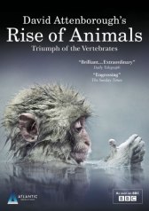 BBC. Восстание животных: Триумф позвоночных / Rise of Animals: Triumph of the Vertebrates BBC. Восстание животных: Триумф позвоночных