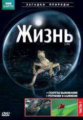 BBC: Жизнь / Life BBC: Жизнь