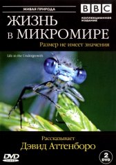 BBC: Жизнь в микромире / Life in the Undergrowth BBC: Жизнь в микромире