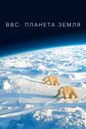 BBC: Планета Земля / Planet Earth BBC: Планета Земля