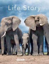 Дэвид Аттенборо. История жизни / Life Story Дэвид Аттенборо. История жизни