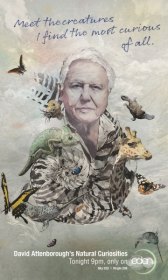 Дэвид Аттенборо. Курьезы природного мира / David Attenborough's Natural Curiosities Дэвид Аттенборо. Курьезы природного мира