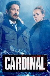 Кардинал / Cardinal Кардинал