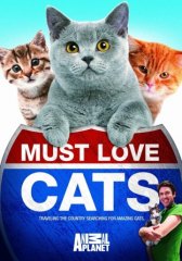 Кошек не любить нельзя / Must Love Cats Кошек не любить нельзя