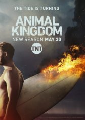 По волчьим законам / Animal Kingdom По волчьим законам