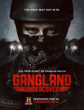 Под прикрытием / Gangland Undercover Под прикрытием