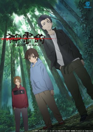 Охота на призраков / В погоне за призраком