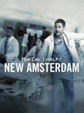 Новый Амстердам / New Amsterdam Новый Амстердам
