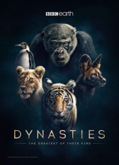 Династии / Dynasties Династии